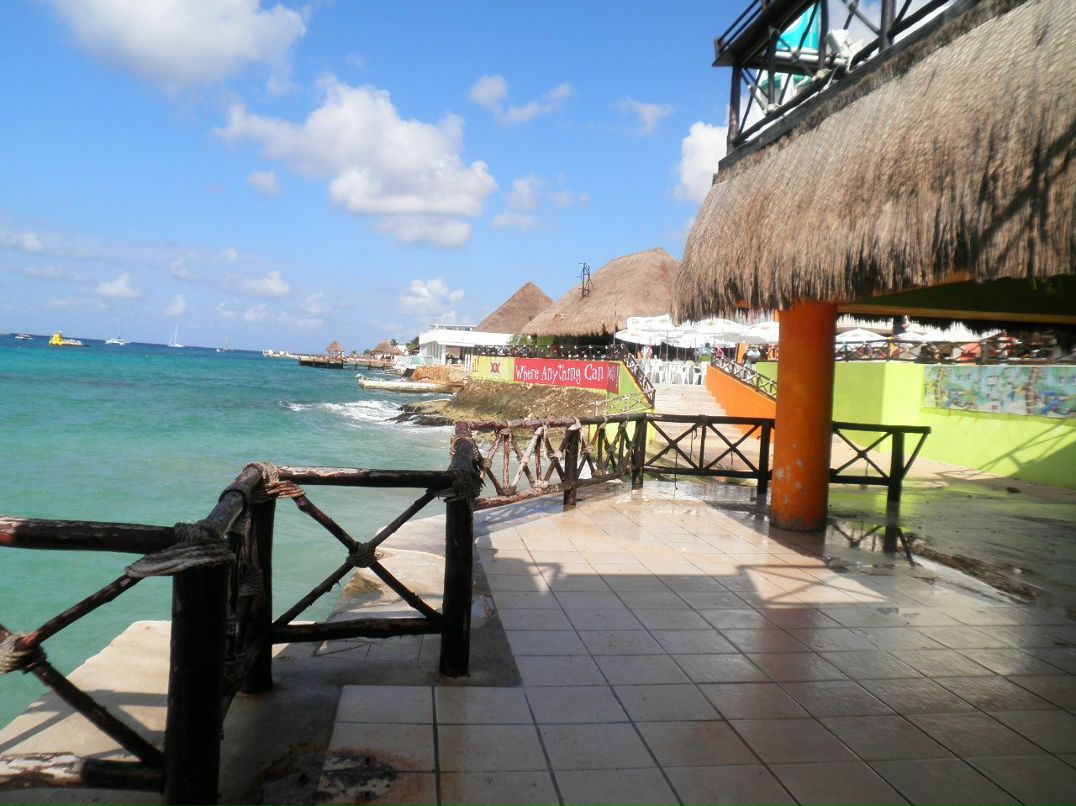 Айгуль Нурлыгаянова Лунный цветок | Казань