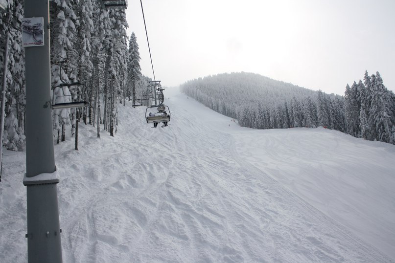 Сергей Невечеря | Одесса