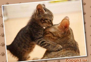 Ирина Голубина | Казань