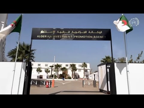 Ces étrangers qui viennent avec la taille pour s enrichir en Algérie au détriment des