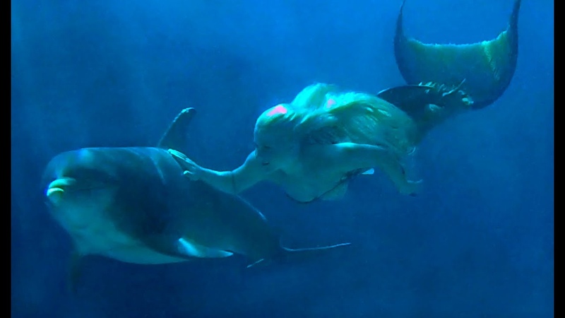 MERMAID DOLPHINS Mermaid Melissa Swims With Dolphins In the