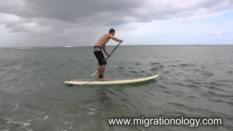 Paddleboarding on the North Shore of Oahu,