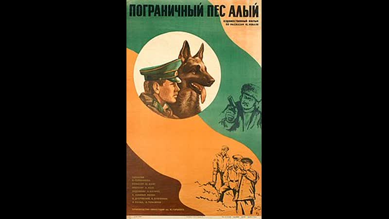 Пограничный пес Алый