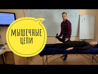 Прикладная кинезиология. Мышечные цепи. ММТ, диагностика и лечение
