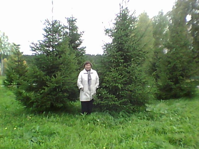 Александр Шевцов | Архангельск