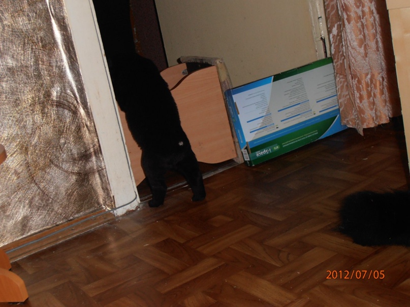 Елена Хрусталева | Новосибирск