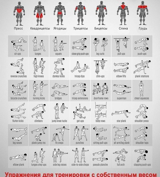 Александр Трефилов | Пермь