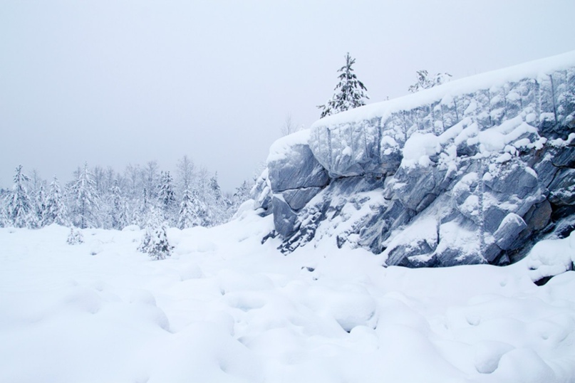 Алексей Елисеев | Санкт-Петербург