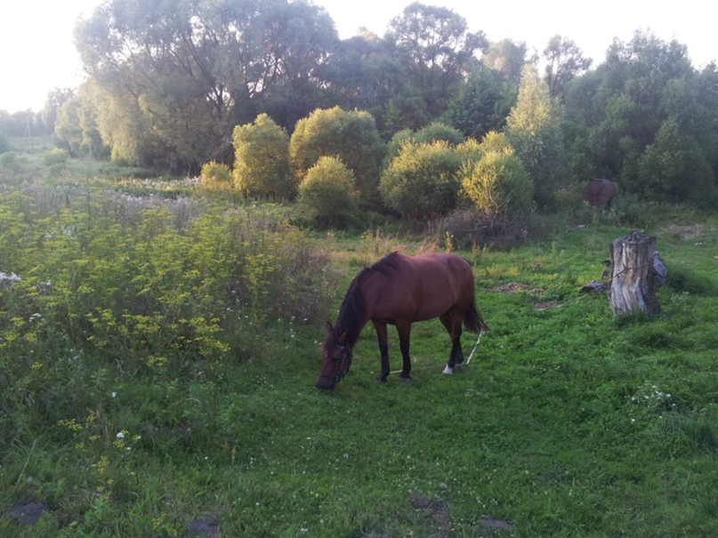 Анна Лукьянова | Великая Топаль