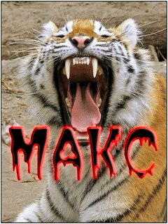 Максим Фетисов | Киров