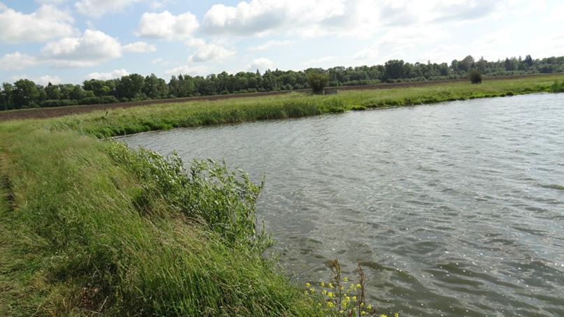 Михаил Гавриков | Орёл