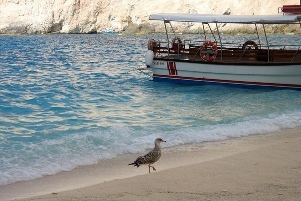 Лена Зыкова | Киров