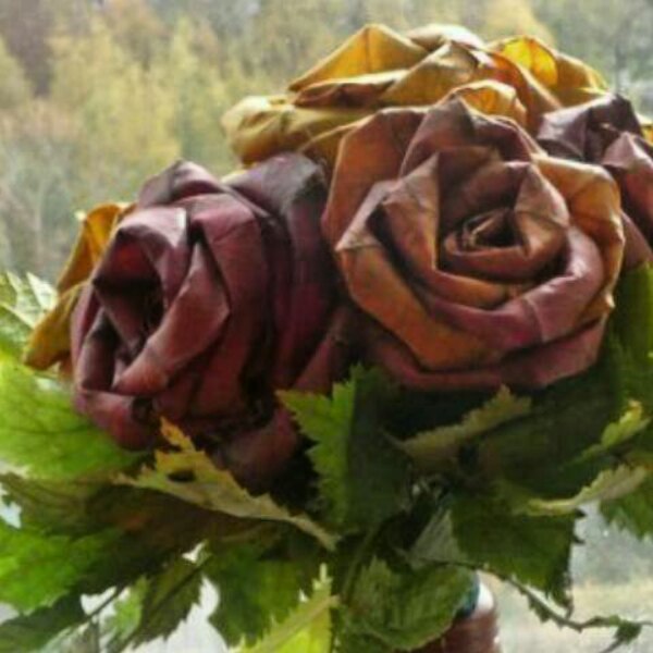 Андрей Микушев | Тольятти