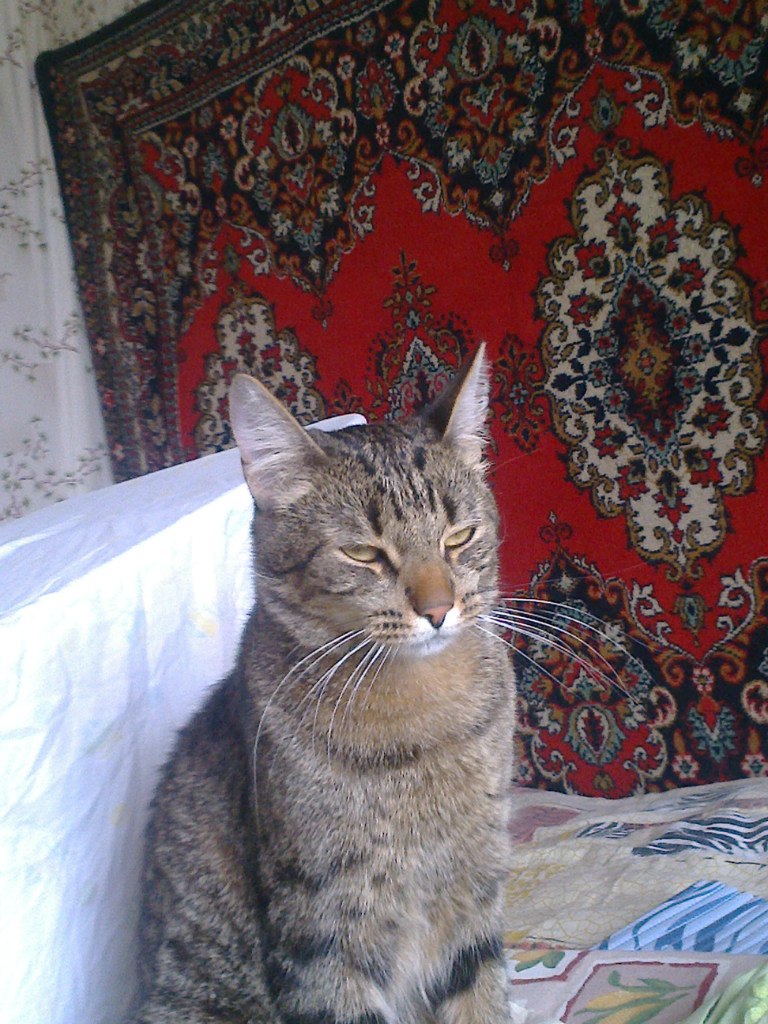 Алексей Горшков Николаевич | Приозерск