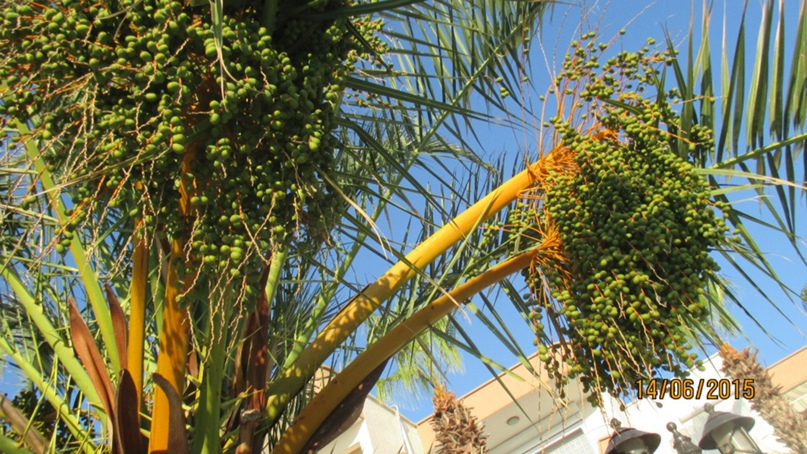 Надежда Суслова Леонидовна | Вологда