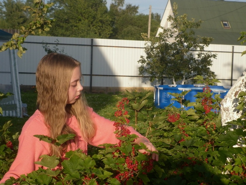 Настя Маркова | Сосновый Бор