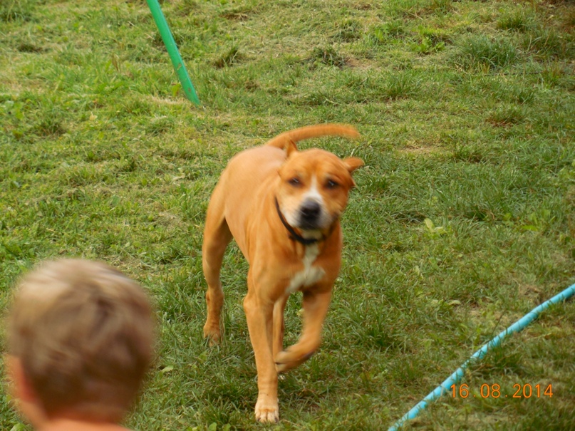 Роман Попов | Москва