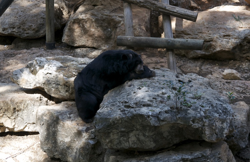 Миша Шляпник | Санкт-Петербург