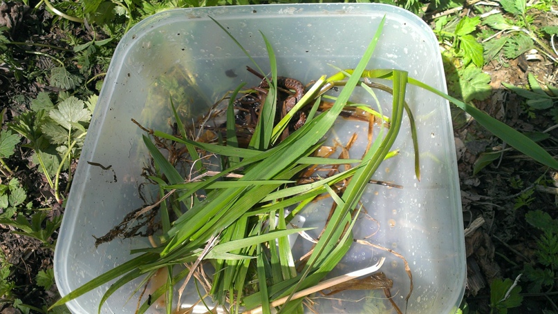 Юрий Черепанов | Тверь