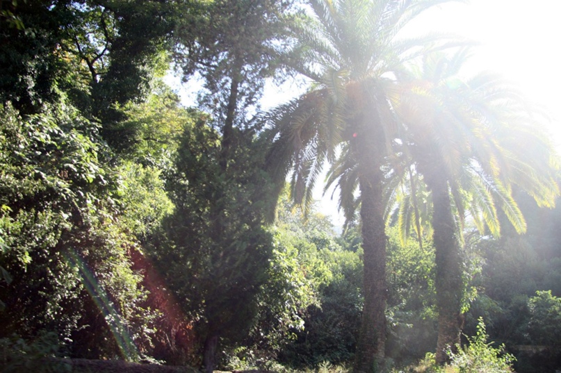 Колян Фёдоров | Санкт-Петербург