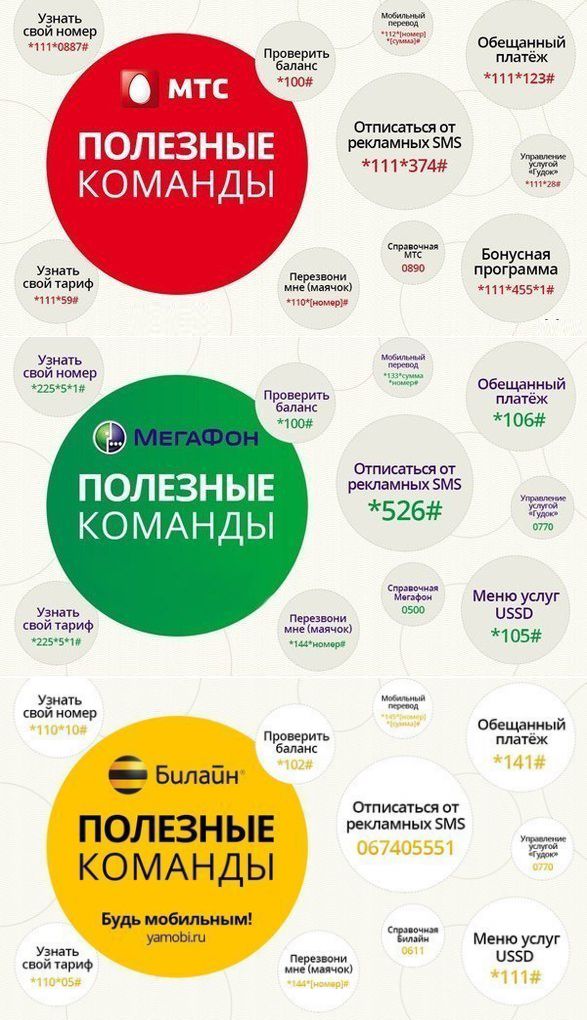 Анна Иконникова | Шагонар