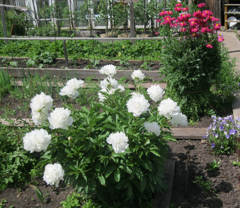 Валентина Малютина | Красноярск