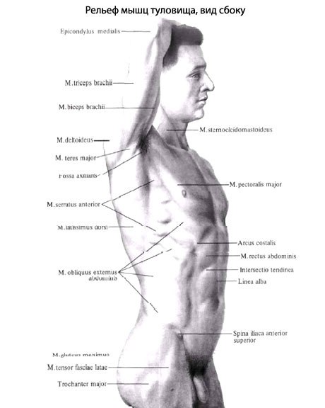 six pack abs how to get them fast how to get a six pack in 5 minutes - YouTube