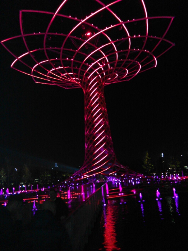 Нина Лысенко | Milano