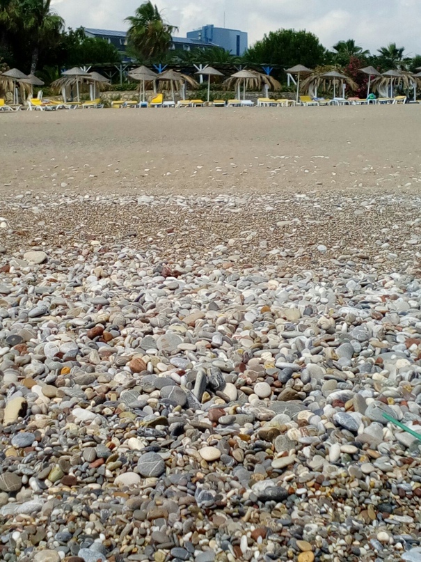 Аня Прибылова | Красноармейск