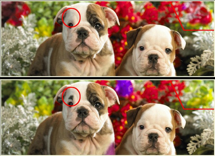 Евгений Харченко | Мариуполь