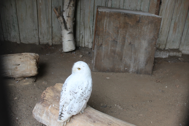 Юля Ефремова | Октябрьский