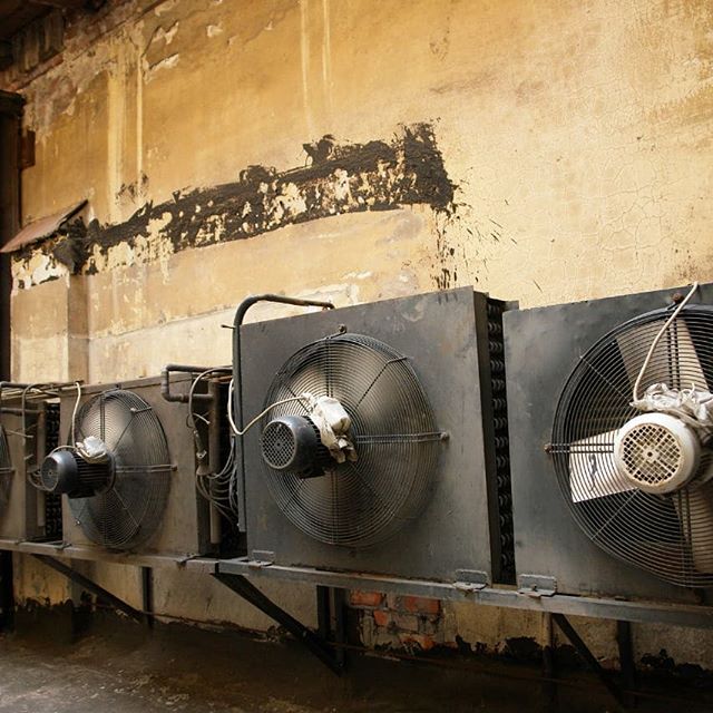 Александр Алексеев | Санкт-Петербург