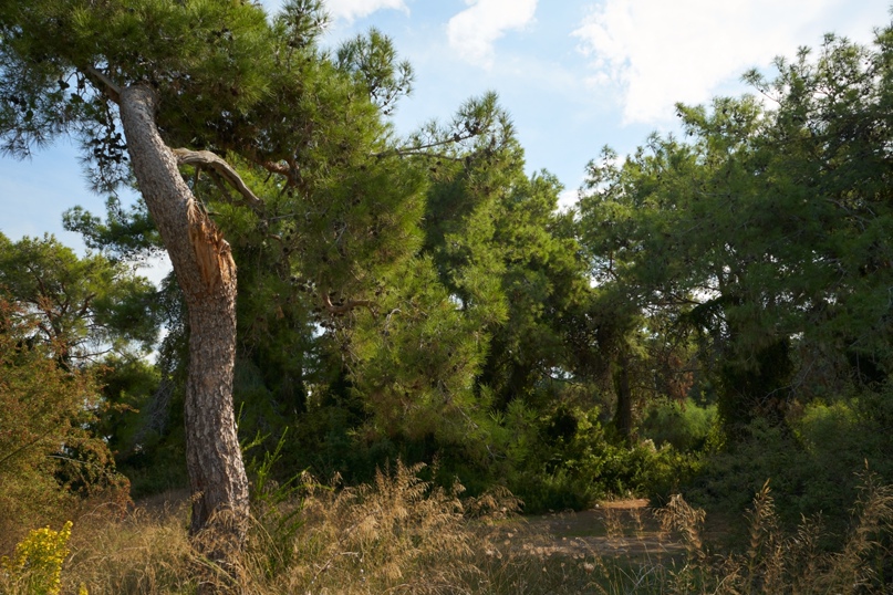 Константин Камышников | Москва