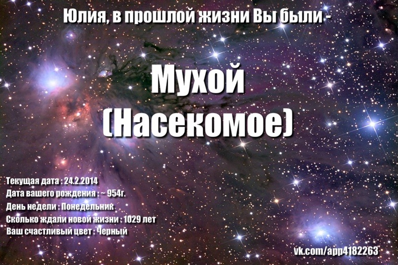 Юлия Брагина | Санкт-Петербург