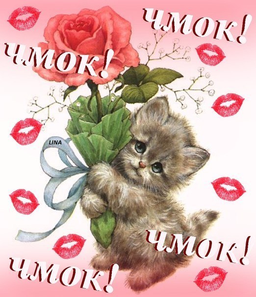 Наталья Бабаева | Сосновый Бор