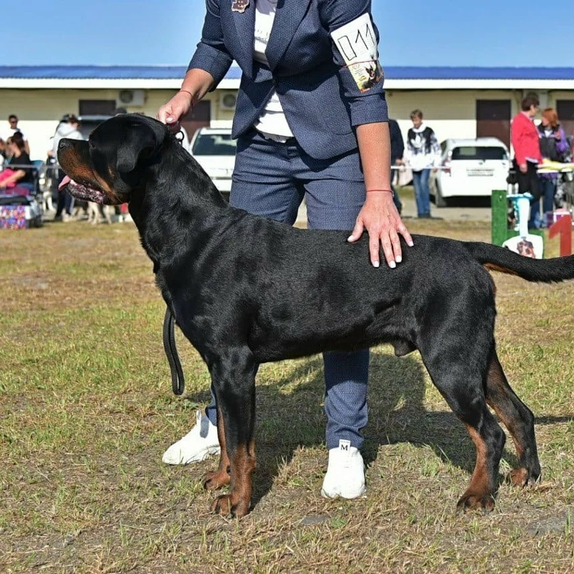 Ксения Суханова Ksю | Находка