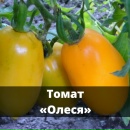 Помидоры олеся фото Помидоры олеся фото