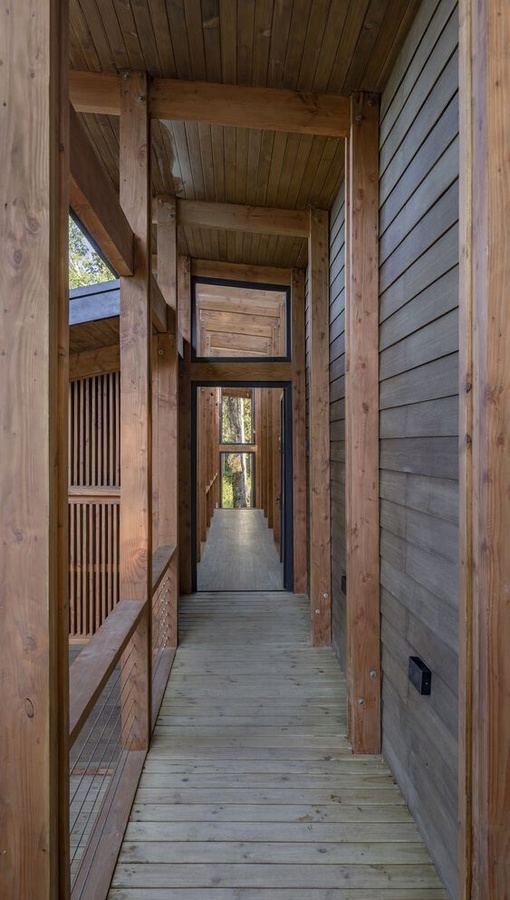 Gallery House / Antonia Cabezón - Pabla Amigo