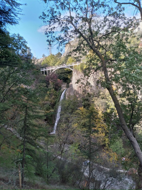 Анна Лютая | Тбилиси