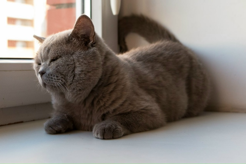 Кристина Никонова | Уфа