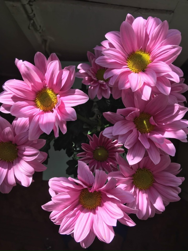 Татьяна Лапина | Новокузнецк