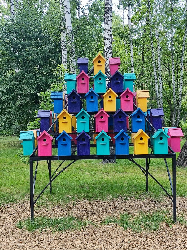 Светлана Протасевич | Савинский