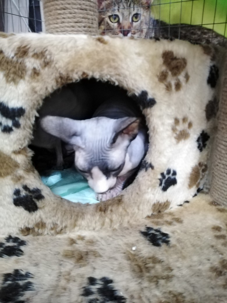 Елена Андрейчук | Люберцы