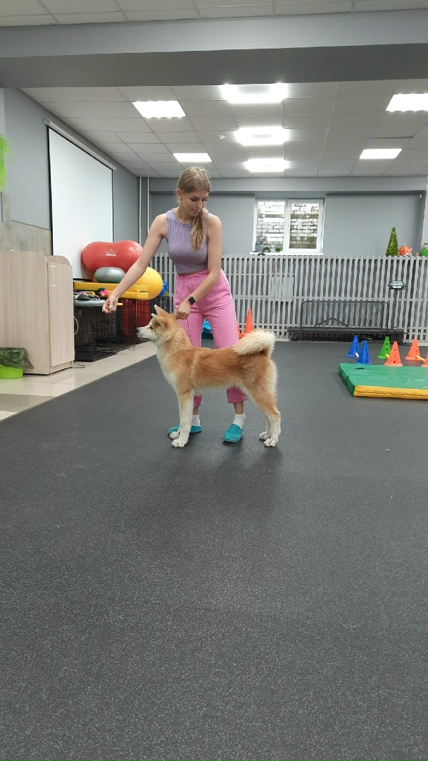 Максим Козин | Челябинск