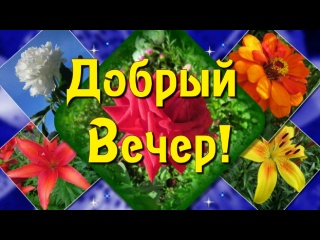 Добрый Вечер! Красивое пожелание доброго Вечера!