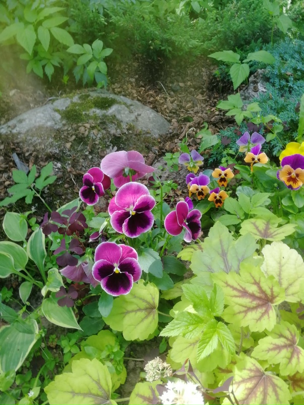 Алёна Николаева | Санкт-Петербург