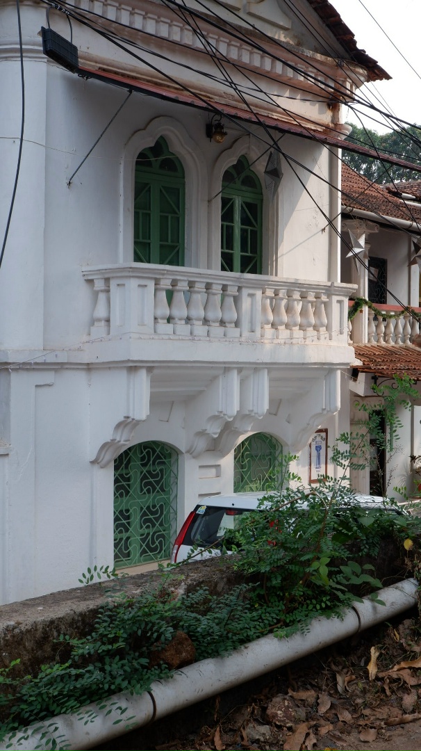 Дмитрий Шестаков | Санкт-Петербург