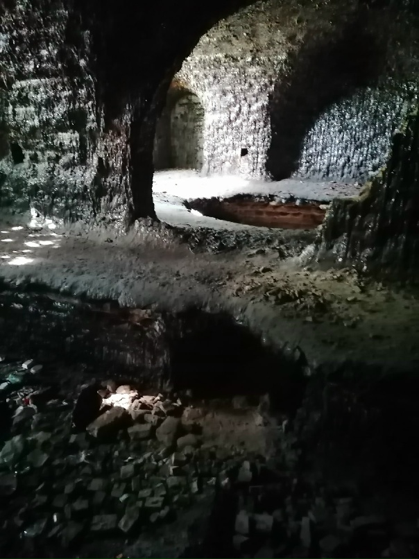 Мария Хапова | Санкт-Петербург