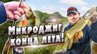 Щуки на микроджиг! | Рыбалка в последние дни лета | Денис Вихров
