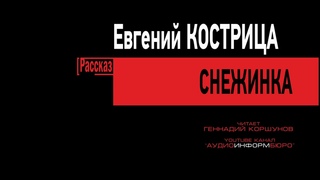 024. Евгений Кострица - Снежинка